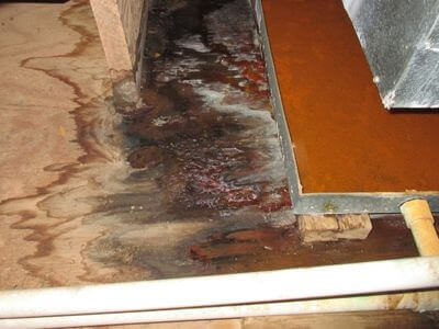 About water damage restoration service - storm damage restoration experts in Convent Station